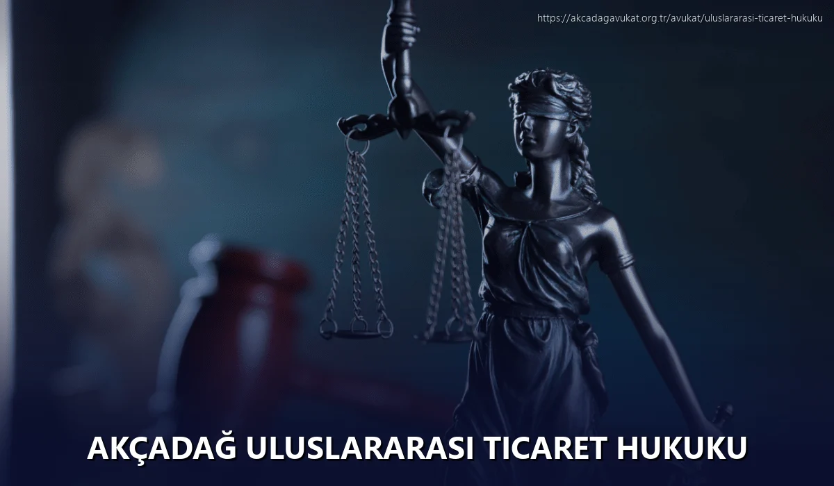 Akçadağ Uluslararası Ticaret Hukuku